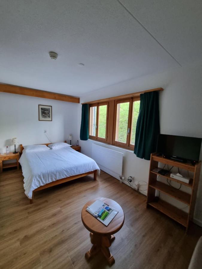 Hotel Roc Et Neige Chateau-d'Oex Esterno foto